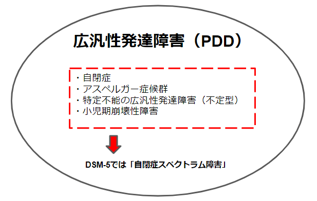 ASD（自閉症、アスペルガー症候群）