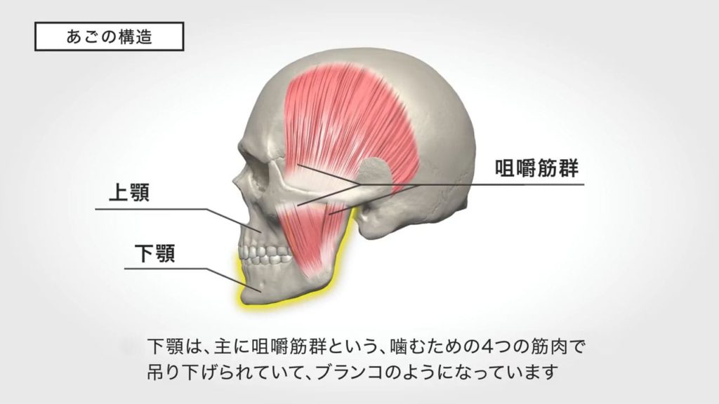 【学ぼう】食事の介助を通して、体の変化を知ることが大切