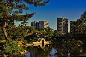 【まとめ】ニートの就職支援について【広島編】